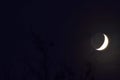 Crescent moon on the night sky seen trough clouds Royalty Free Stock Photo