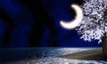 Crescent moon In the night sky there are stars in the sky. Super Moon in the middle of the sea with reflections on the water Royalty Free Stock Photo