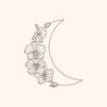 Crescent moon of orchid flowers in a trendy minimal linear style. Vector floral icon. Tattoo design