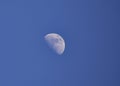 Crescent moon over blue sky Royalty Free Stock Photo