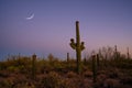 Crescent moon over Saguaro cactus in Arizona