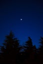 Crescent moon Royalty Free Stock Photo