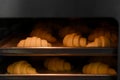 Crescent rolls are being baked Royalty Free Stock Photo