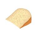 Crescenza cheese on white background. Vector illustration.