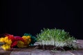 Cress on old kitchen table, black background Royalty Free Stock Photo