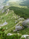 Crest of mountain with a flock of white sheeps in Montenegro.