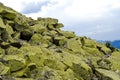 Crest of the mountain range with stone placers covered with green lichens and slopes with spruce forest in Carpathian Mountains at Royalty Free Stock Photo