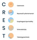 CREST syndrome icons. System sclerosis symptoms