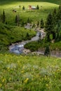 Crested butte colorado mountain landscape and wildflowers Royalty Free Stock Photo