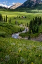 Crested butte colorado mountain landscape and wildflowers Royalty Free Stock Photo