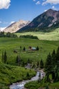 Crested butte colorado mountain landscape and wildflowers Royalty Free Stock Photo