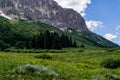 Crested butte colorado mountain landscape and wildflowers Royalty Free Stock Photo