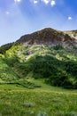 Crested butte colorado mountain landscape and wildflowers Royalty Free Stock Photo