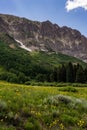 Crested butte colorado mountain landscape and wildflowers Royalty Free Stock Photo