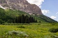 Crested butte colorado mountain landscape and wildflowers