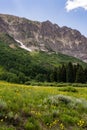 Crested butte colorado mountain landscape and wildflowers Royalty Free Stock Photo