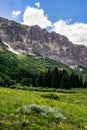 Crested butte colorado mountain landscape and wildflowers Royalty Free Stock Photo