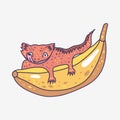 Crested gecko cute reptile lizard on banana logo Royalty Free Stock Photo