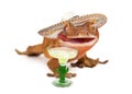 Crested gecko wearing sombrero with margarita