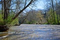 Cresting river in  early spring Royalty Free Stock Photo