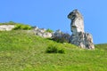 Cretaceous outcrops of nature reserve Divnogorie