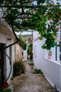 Cretan Alleys - Kritsa village 3 Royalty Free Stock Photo