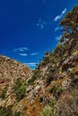 Cretan landscape, bushes, olive trees, rocky slopes, mountains. Clear blue sky with beautiful clouds. Akrotiri peninsula Royalty Free Stock Photo