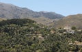 Cretan landscape with forest and church. Lakki