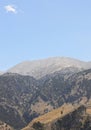 Cretan landscape with forest. Lakki viewpoint