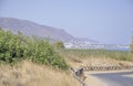 Cretan Landscape view on Malia resort from Crete island in Greece Royalty Free Stock Photo