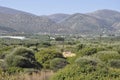 Cretan Landscape view on Malia resort from Crete island in Greece Royalty Free Stock Photo