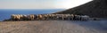 Cretan panorama with sheeps Royalty Free Stock Photo