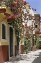 Crete flowered street Royalty Free Stock Photo