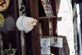 Crete, Greece - September 16, 2017: Exterior of a shop with Sheep soft toy as decorative item hanging for sale in front of