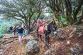 Donkey stands on the mountain path to Zeus Cave Diktaion Andron - Lassithi, Crete, Greece Royalty Free Stock Photo