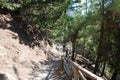 Crete, Samaria Gorge, very beautiful view of the mountains and small trees, stones, sand and hot sun