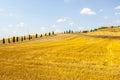 Crete senesi, characteristic landscape in Val d'Orcia Royalty Free Stock Photo