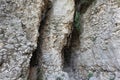 Crevasses in rocky terrain
