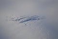 Crevasses on the glacier ice surface.