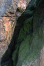 Crevice between rocks covered in green Royalty Free Stock Photo