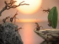 Crew of ants sailing back home, fantasy Royalty Free Stock Photo