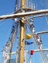 Crew climbing ropes