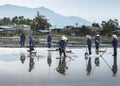 A crew harvests salt by raking, scooping and carrying away.