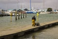 A crew member pushes a buggy along a floating pontoon at the harbour at Warsash in Hampshire as he helps unload a trawler