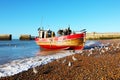 A fine red and gold Hastings fishing trawler comes ashore at Rock-a-Nore, Hastings, East Sussex, England