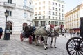 Horses in winter in the Austrian capital, Vienna. Royalty Free Stock Photo