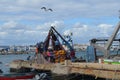 The crew of a purse seiner collects its nets in Olhao fishing harbour, Algarve, Southern Portugal