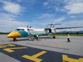 Crew worker working prepare plane and tools for Aircraft takeoff Royalty Free Stock Photo