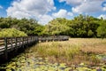 Boardwalk through the marsh on a sunny day Royalty Free Stock Photo