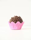 Brigadeiro brazilian chocolate candy isolated background recipe delicious Sao Paulo Brazil